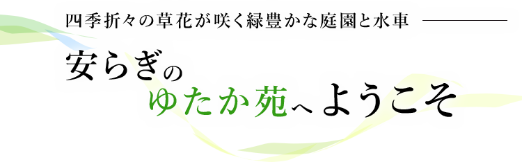 四季折々の草花が咲く緑豊かな庭園と水車安らぎのゆたか苑へようこそ